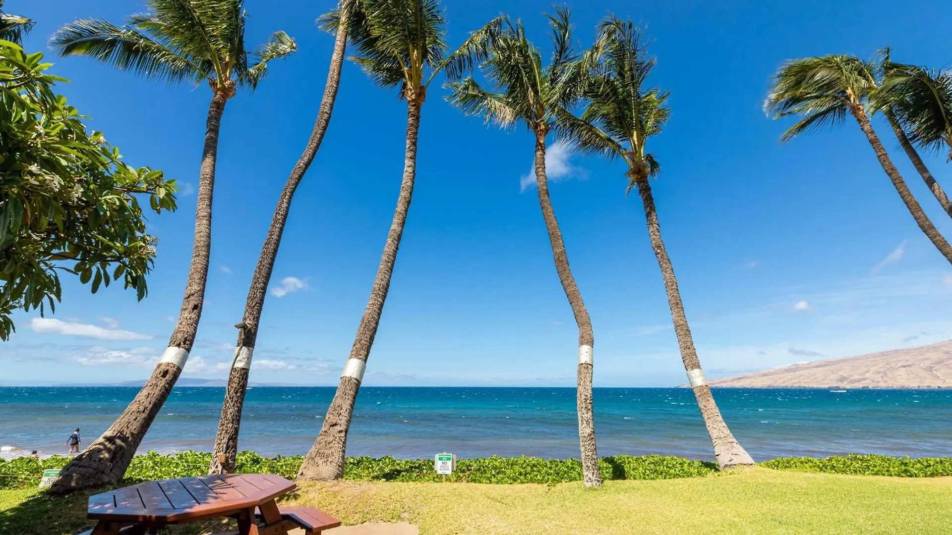 Kealia Resort 208 Kihei Lejlighed